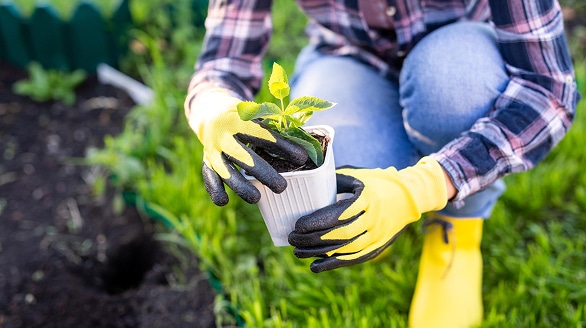 aménagement de jardin à Valenciennes