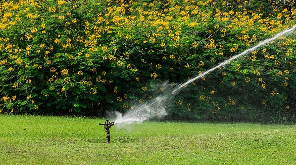 aménagement de jardin à Valenciennes
