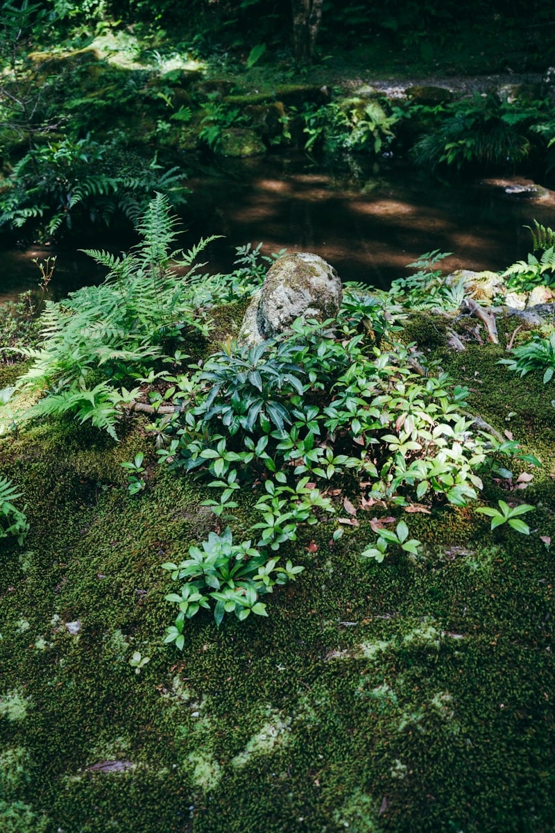 Jardinier à Valenciennes