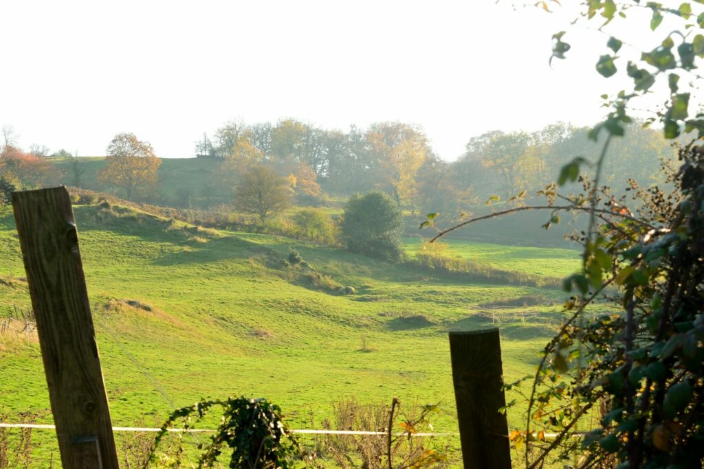 pose de clôture à Aulnoy-lez-Valenciennes –