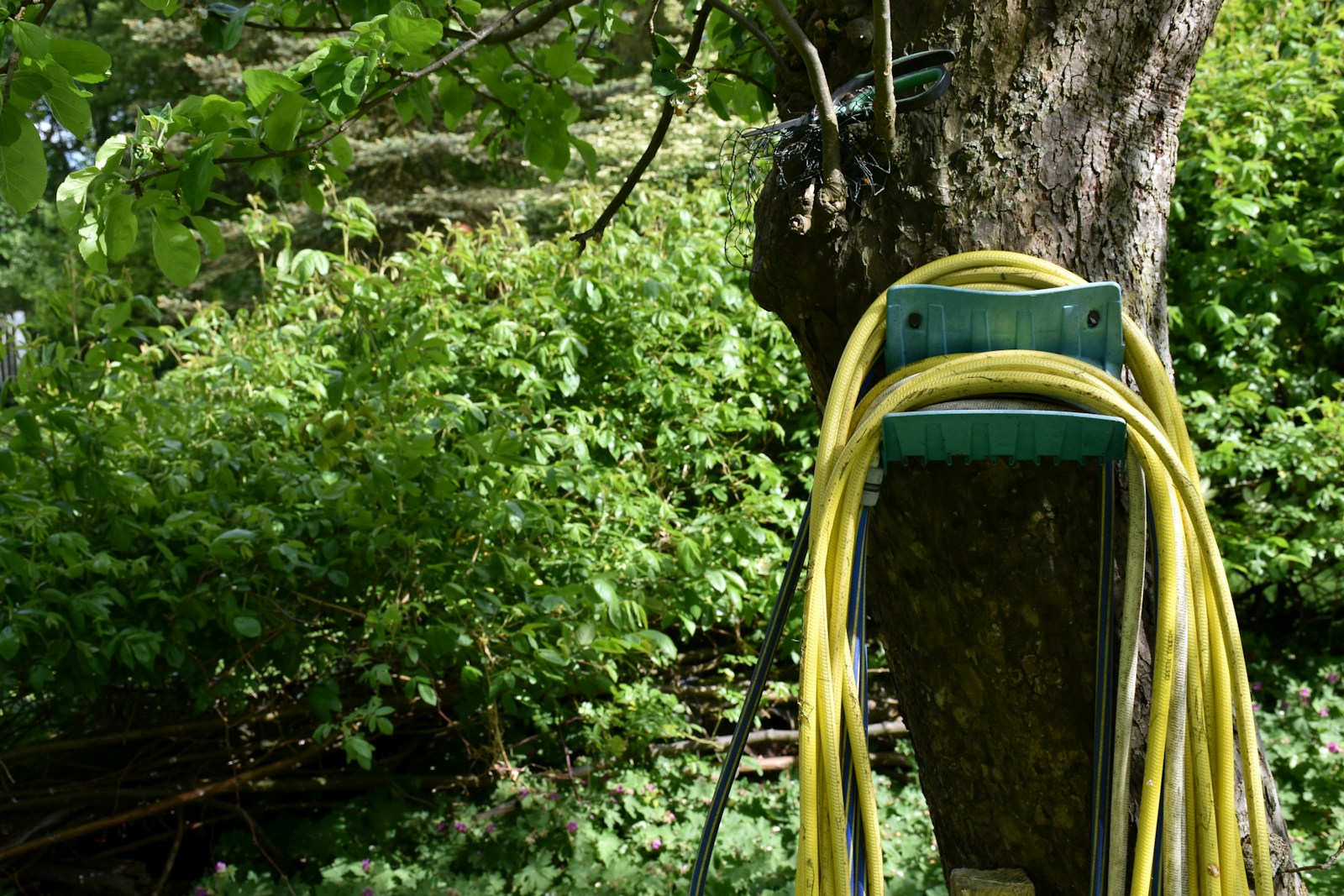 Zone d'intervention paysagiste à Valenciennes