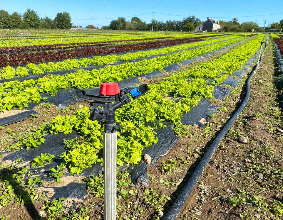 Arrosage performant à Valenciennes