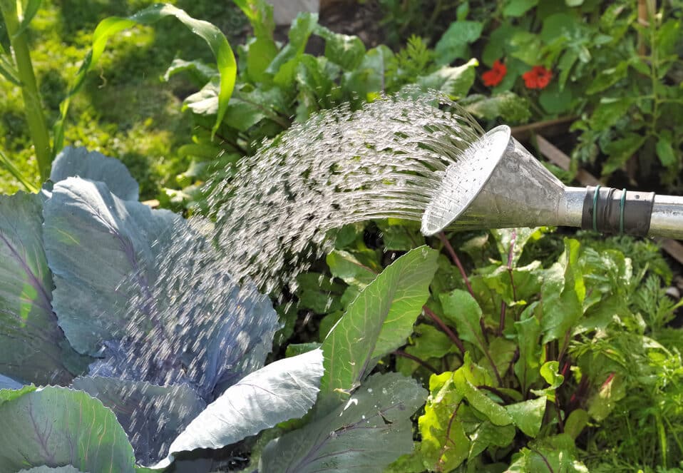 Arrosage performant à Valenciennes