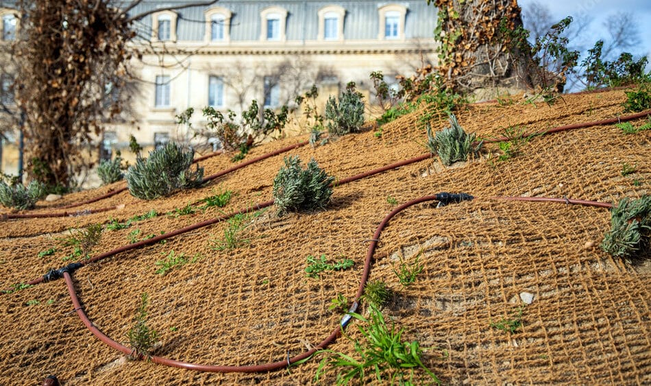 Arrosage performant à Valenciennes