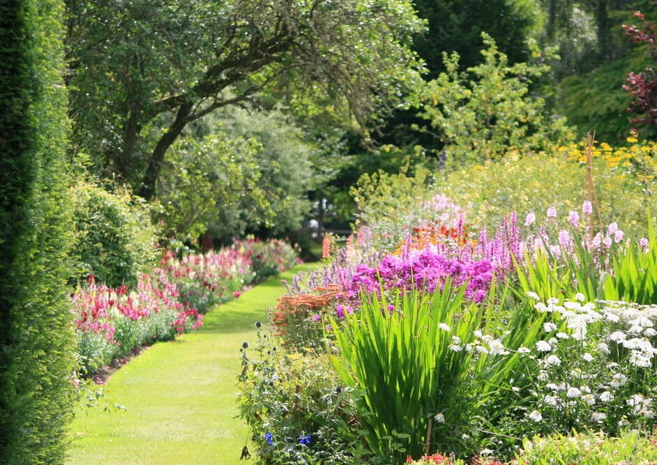 Entretien de jardin à Valenciennes
