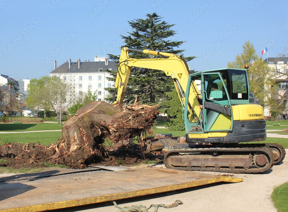 elagage et abattage surs à Valenciennes