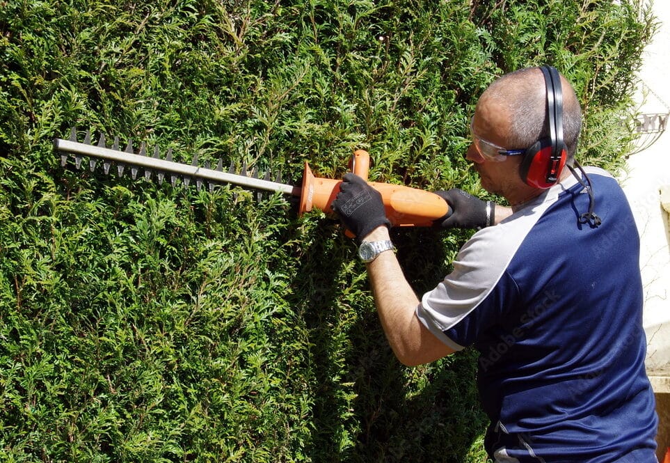 Entretien de jardin à Valenciennes
