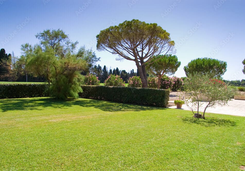 arrosage performant à Valenciennes