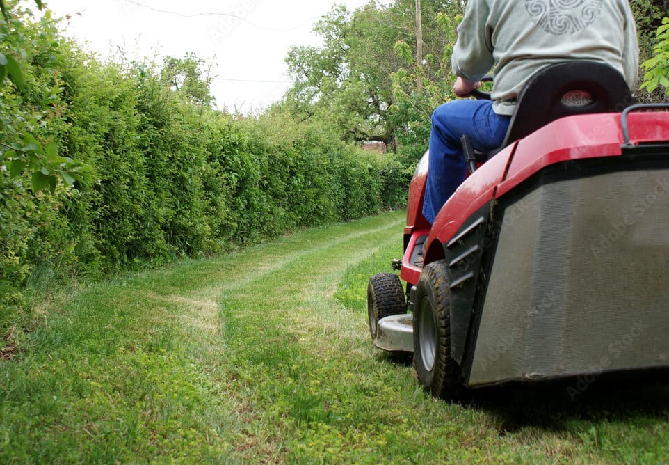 Entretien de jardin à Valenciennes