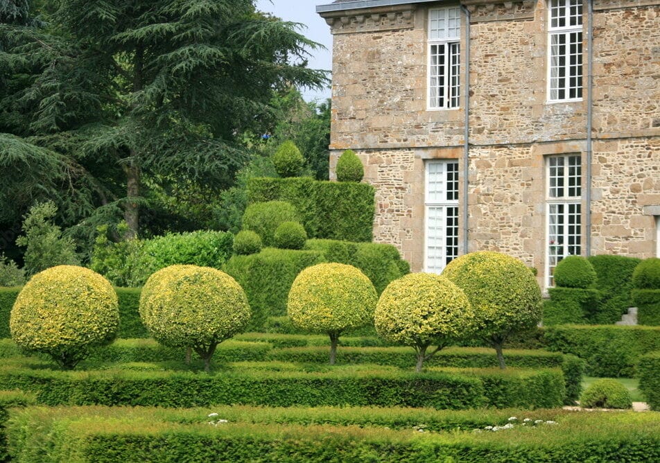 elagage et abattage surs à Valenciennes