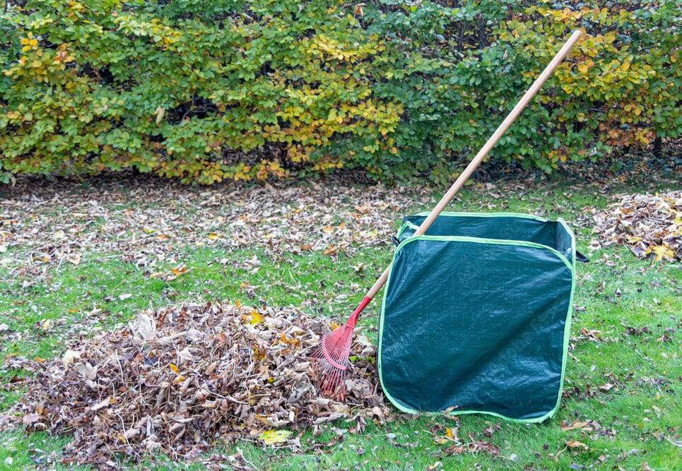 Entretien de jardin à Valenciennes