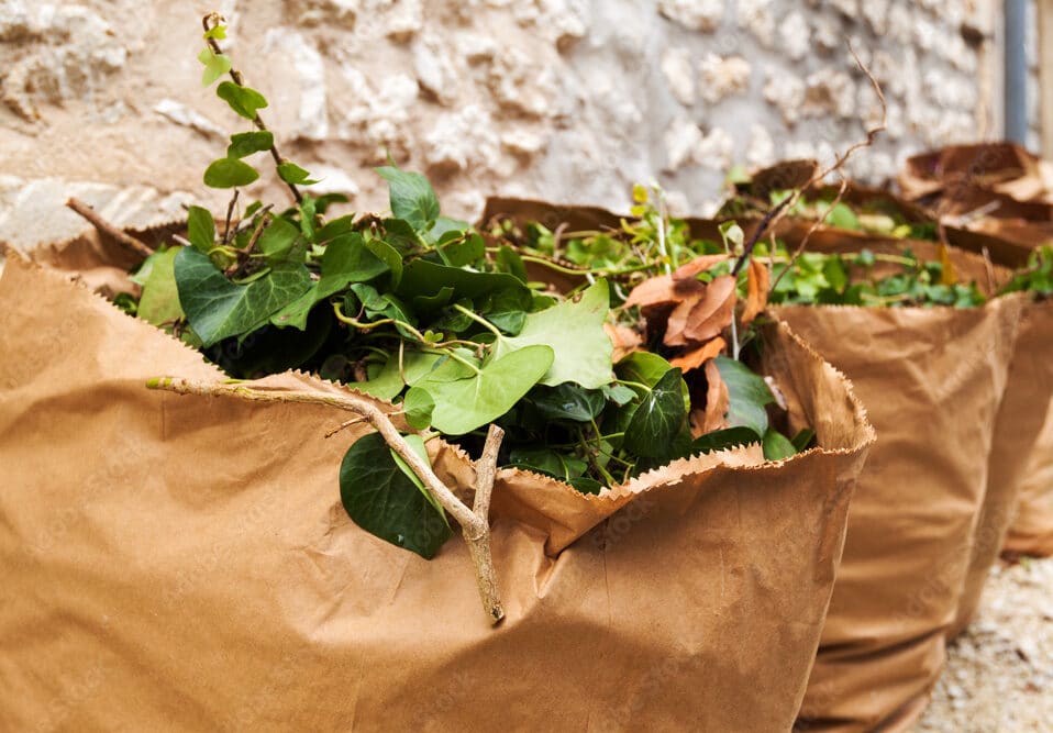 elagage et abattage surs à Valenciennes