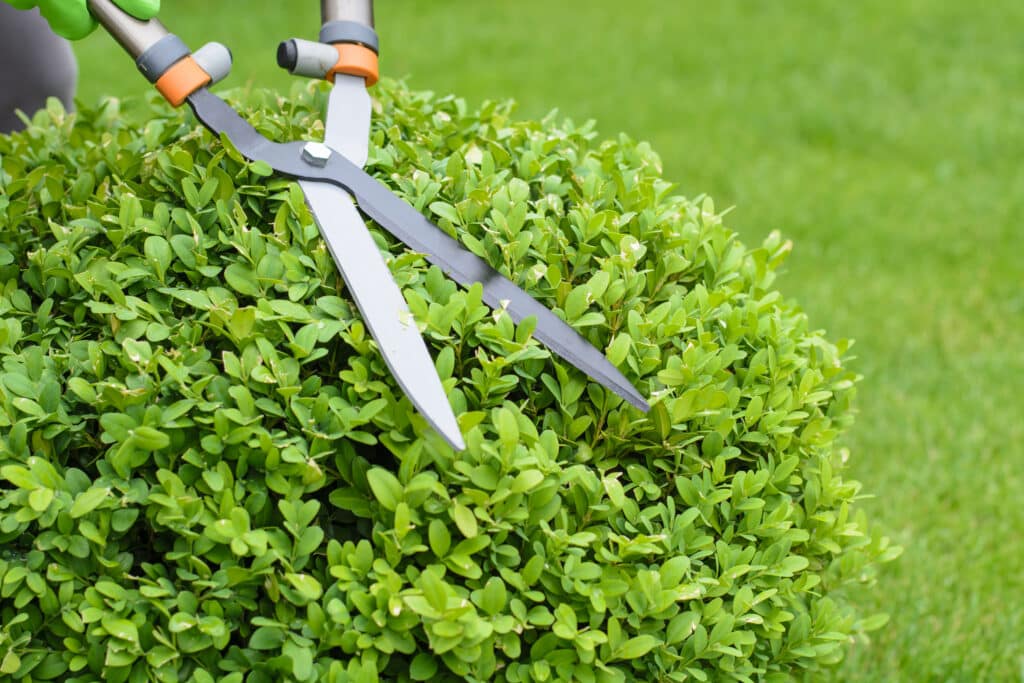 jardinier à Saint-Saulve