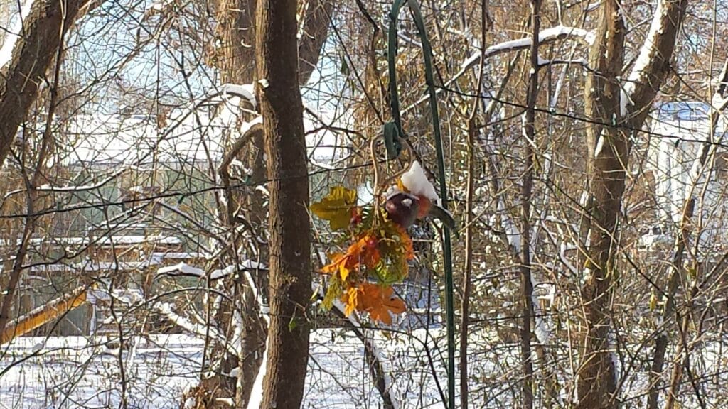 entretien de jardin à Anzin