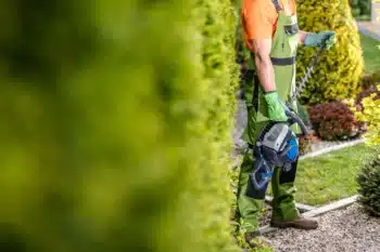 entretien de jardin Marly