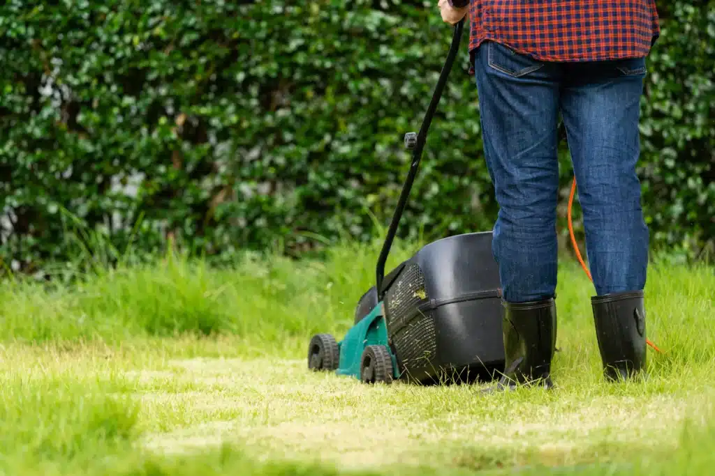 entretien de jardin Denain
