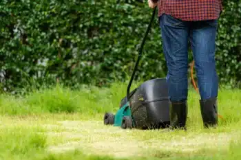 entretien de jardin Denain