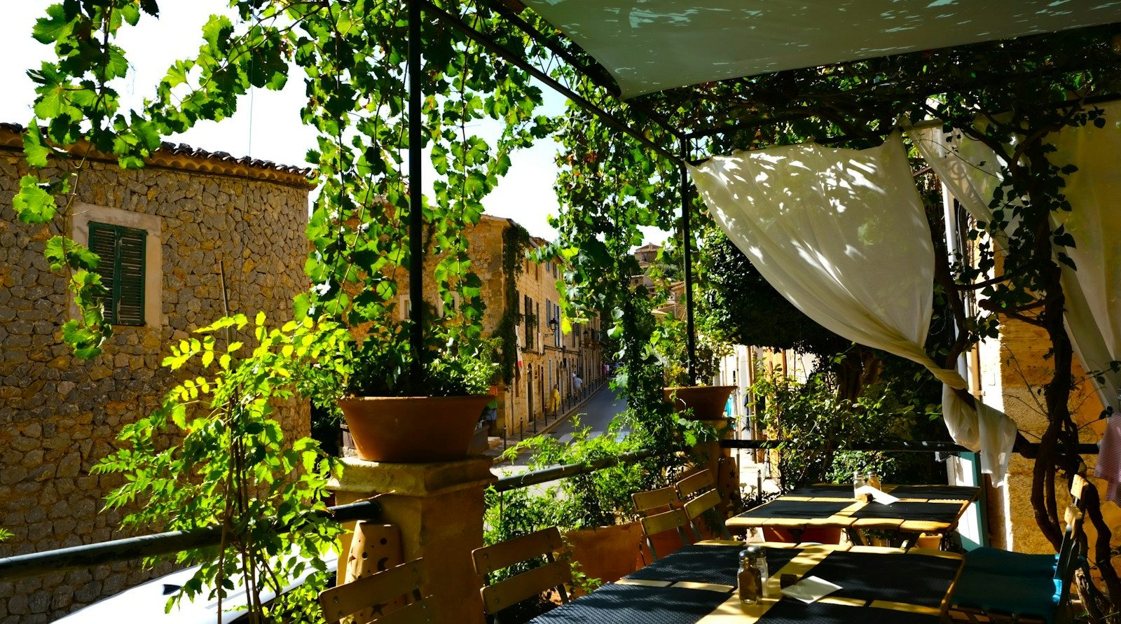 architecte paysager à Denain