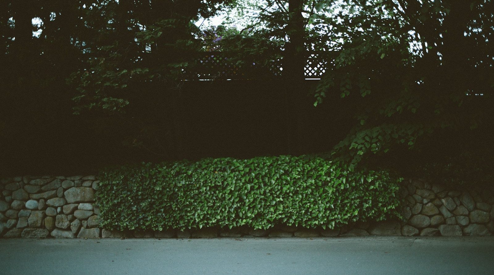 paysagiste de confiance à Marly