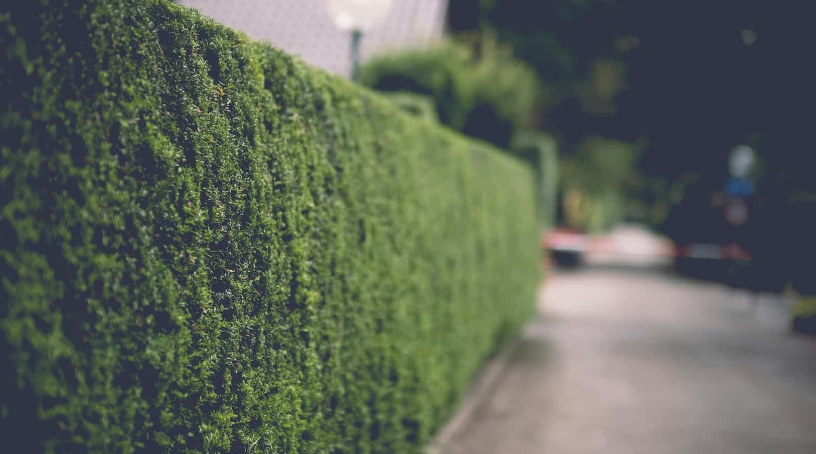 Paysagiste à Valenciennes