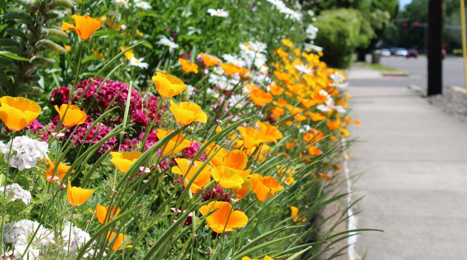 Paysagiste expert à Valenciennes