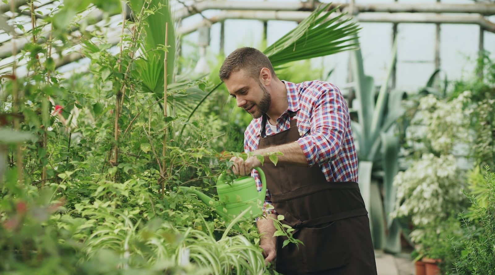 paysagisme à Aulnoy-lez-Valenciennes