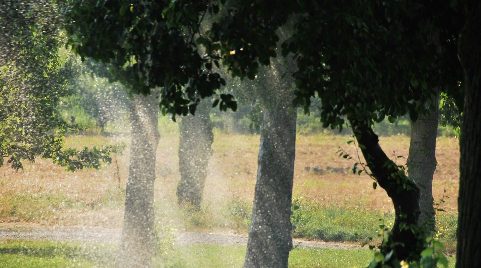services de jardinage à Saint-Saulve