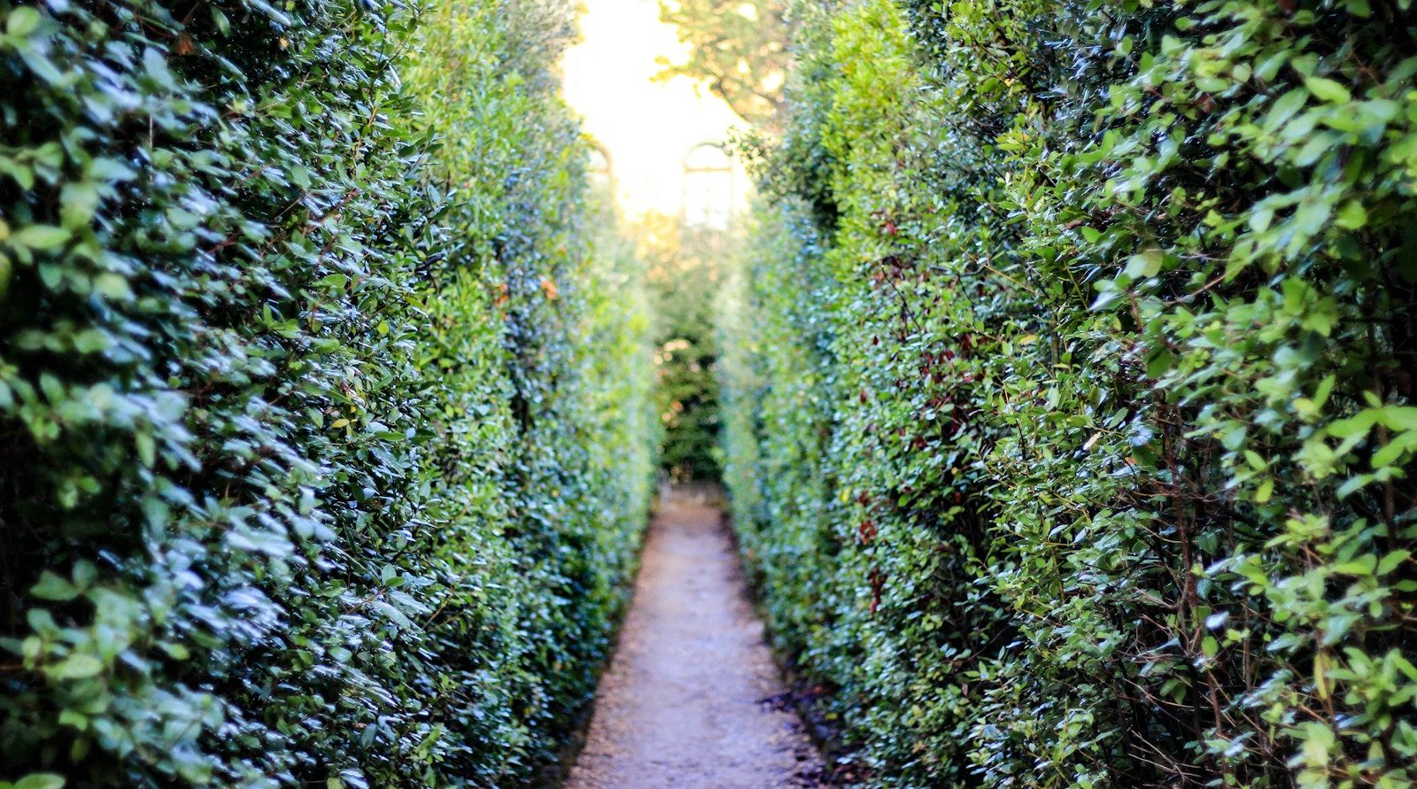 Paysagiste expert à Valenciennes