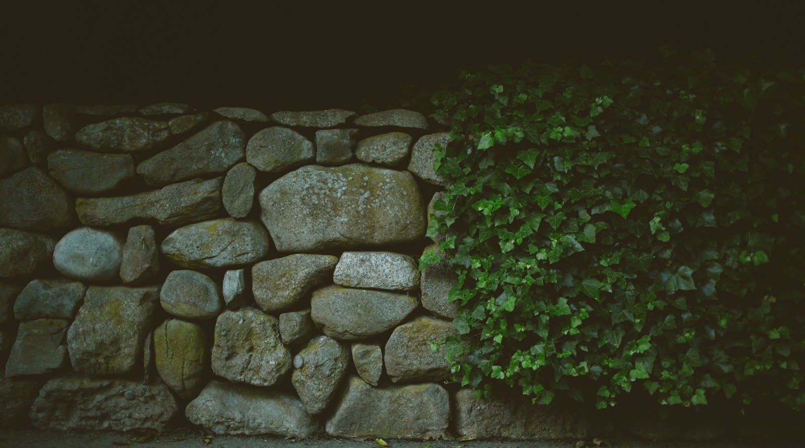 architecte paysager à Denain