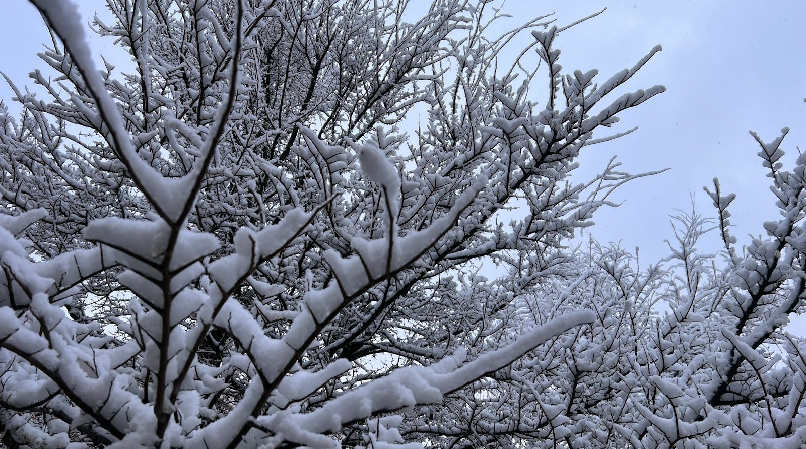 entretien de jardin à Valenciennes