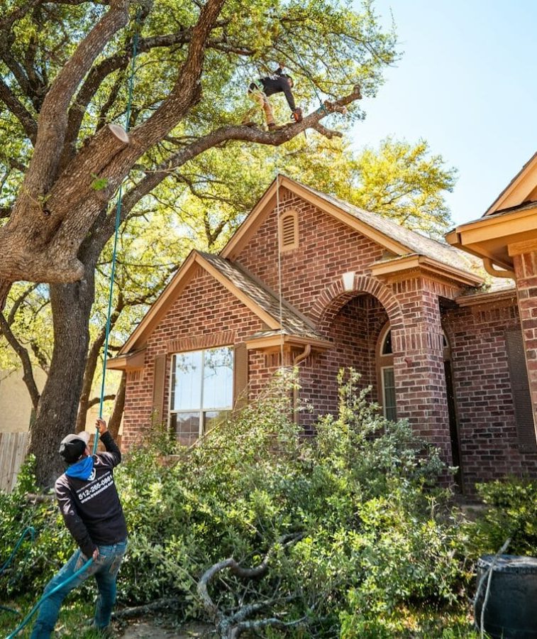 jardinier à Valenciennes