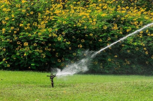 aménagement de jardin à Valenciennes