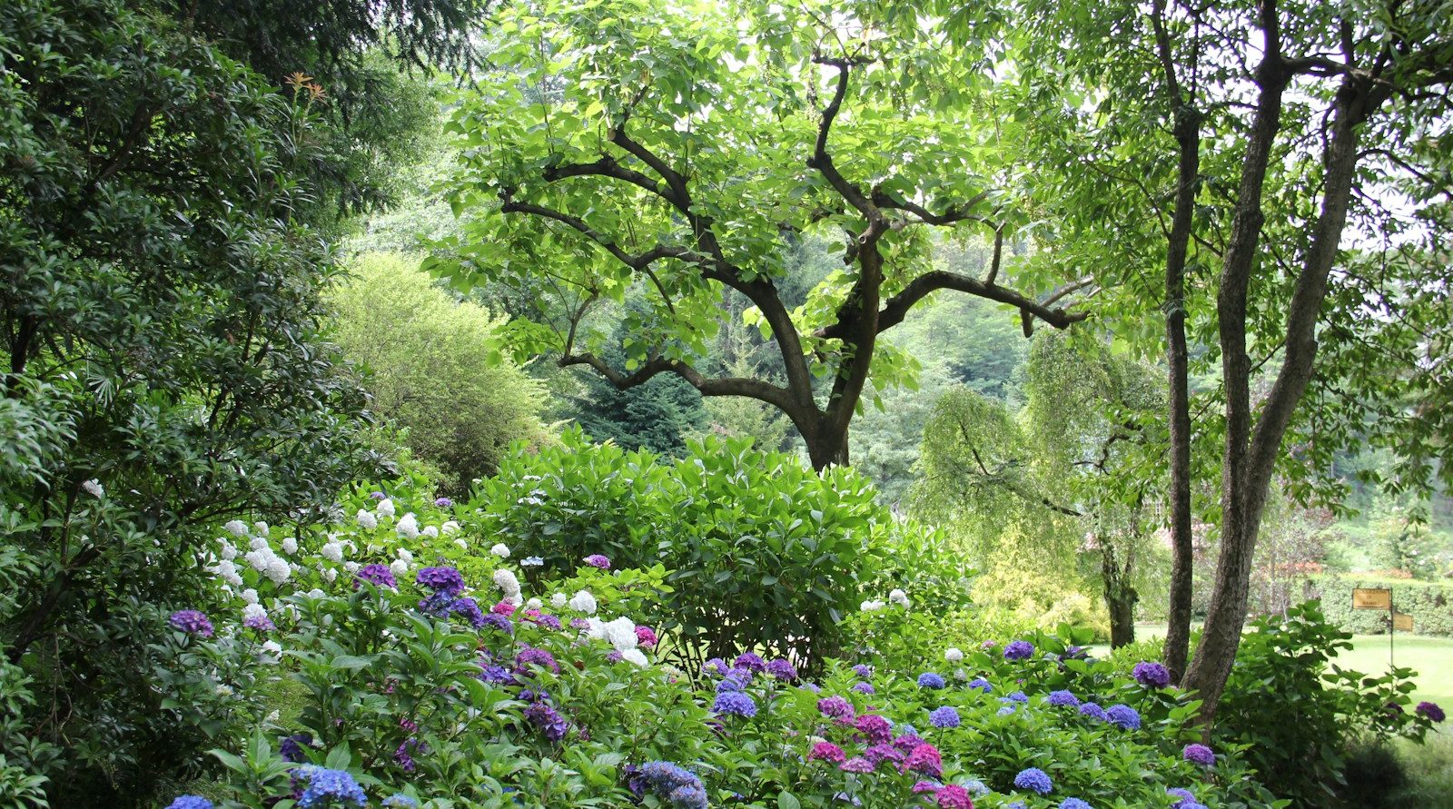 paysagiste designer à Anzin