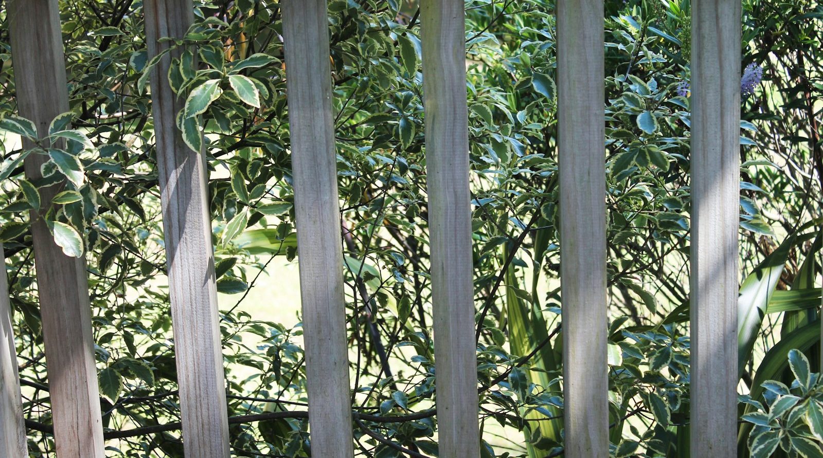 paysagisme à Aulnoy-lez-Valenciennes