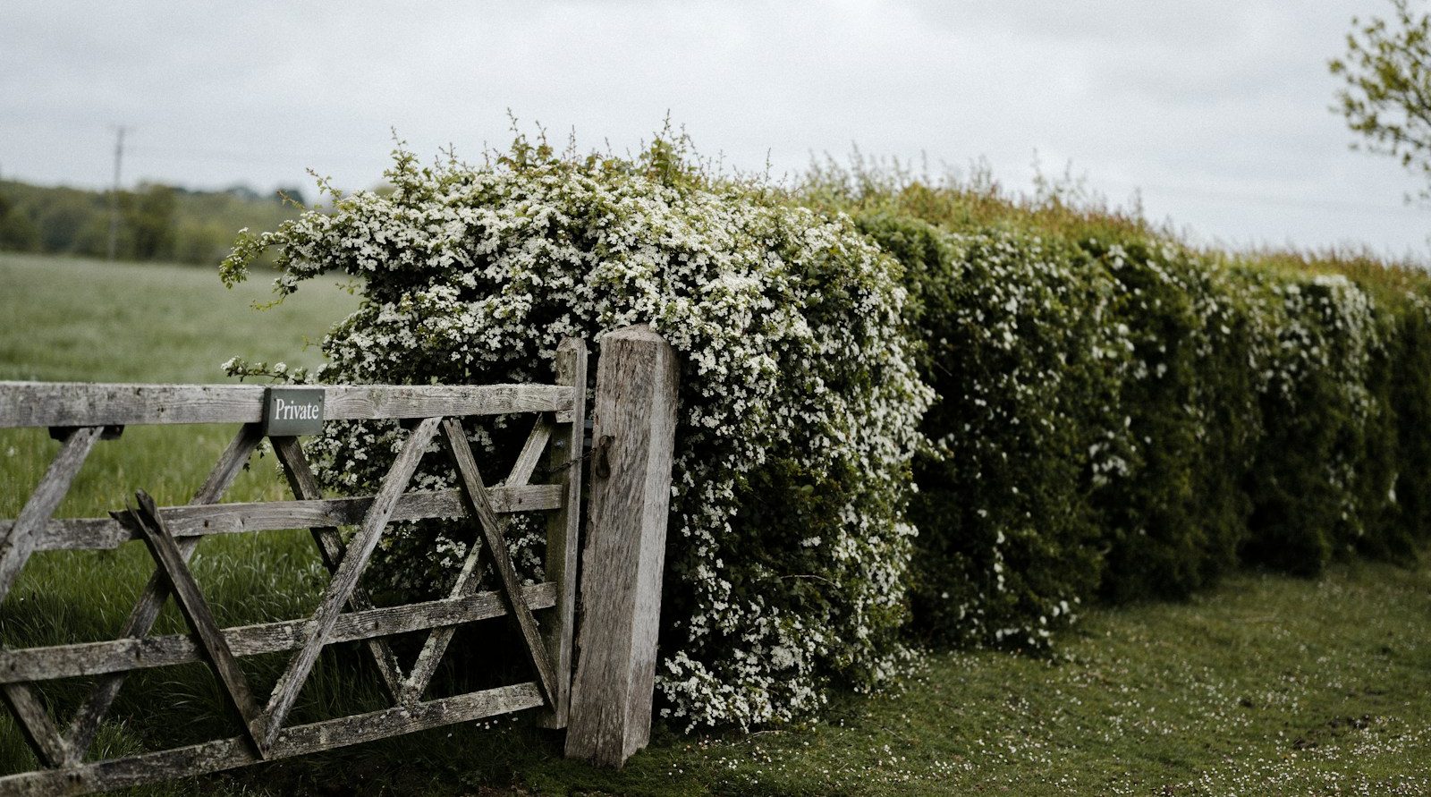 jardinier pro à Bruay-sur-l’Escaut